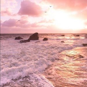 Meet your Posher, Avery